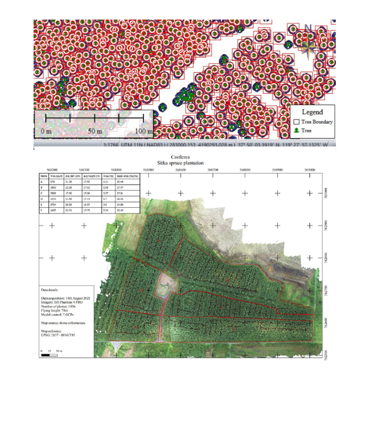 Forestry Inventory and Individual Tree Segmentation - Precision Environmental Drone Surveys Ireland